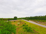 美丽的乡村风景