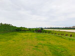 美丽的公园风景