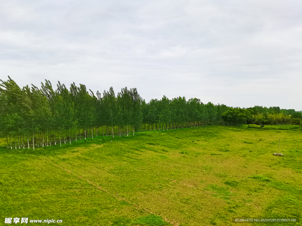 美丽的公园风景