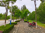 美丽的公园风景