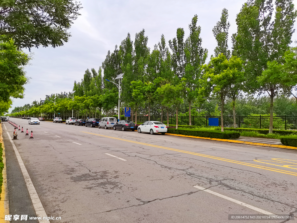 城市道路风景