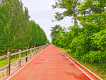 美丽的公园风景