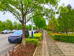 美丽的城市街道风景