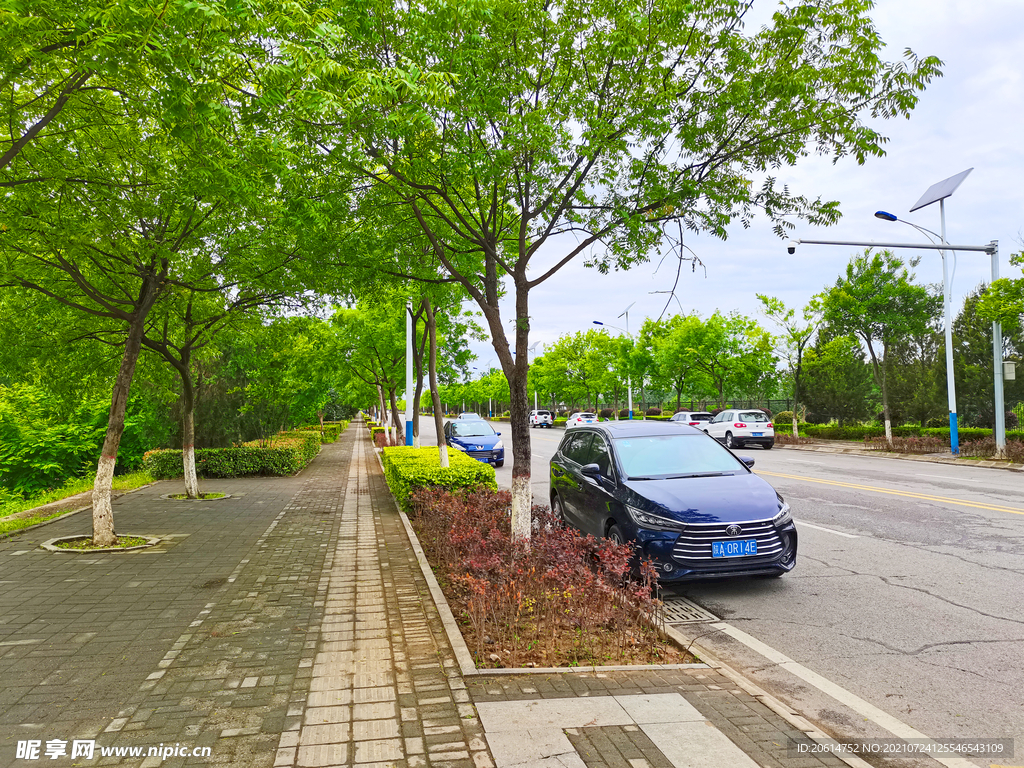 城市道路风景