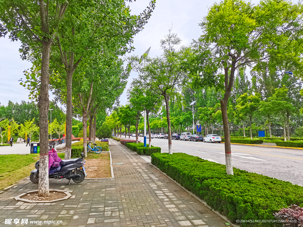 美丽的乡村道路风景