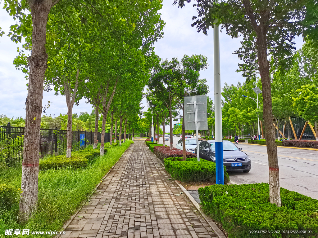 美丽的乡村道路风景