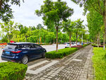 美丽的乡村道路风景