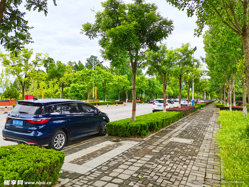 美丽的乡村道路风景