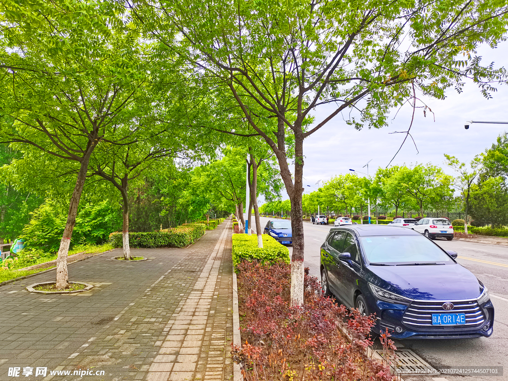 美丽的乡村道路风景