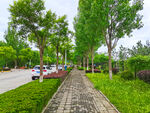 美丽的公园风景