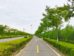 美丽的乡村道路风景