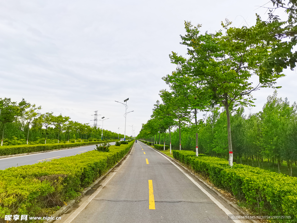 美丽的乡村道路风景