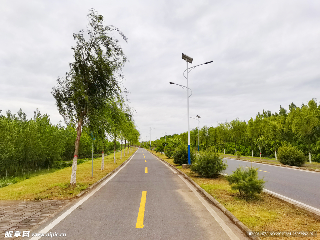 美丽的乡村道路风景