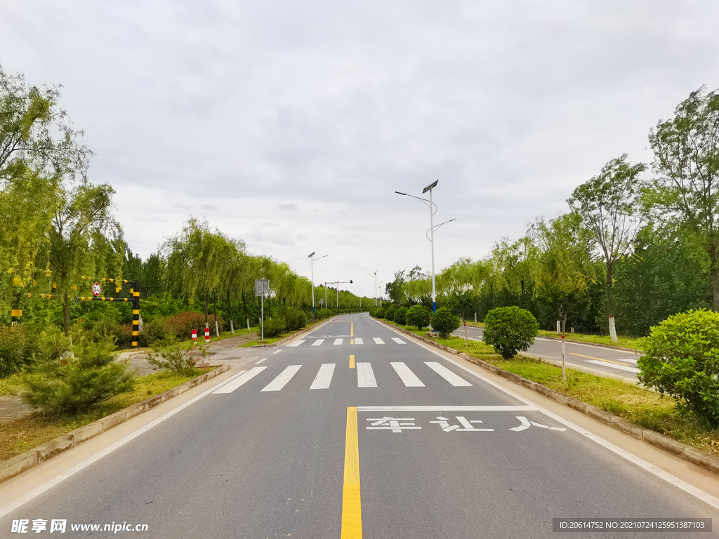 美丽的乡村道路风景