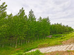 美丽的乡村风景