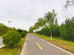 空荡荡的乡村道路风景