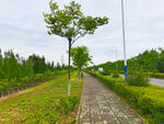 美丽的乡村道路风景