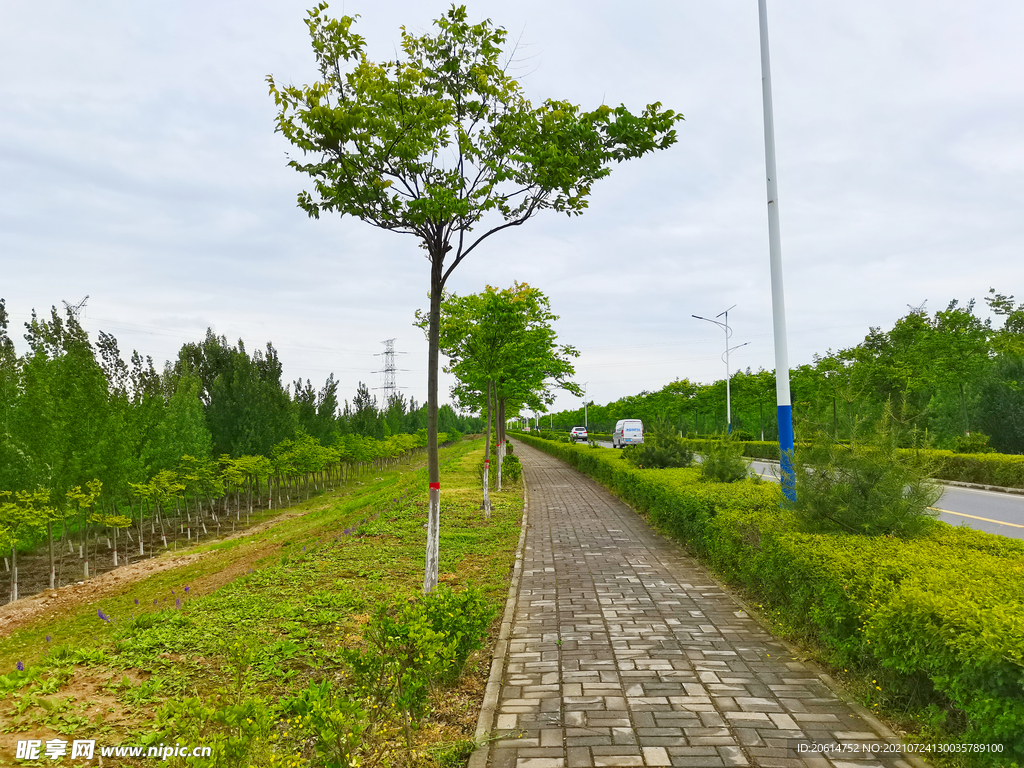 美丽的乡村道路风景