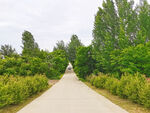空荡荡的乡村道路风景
