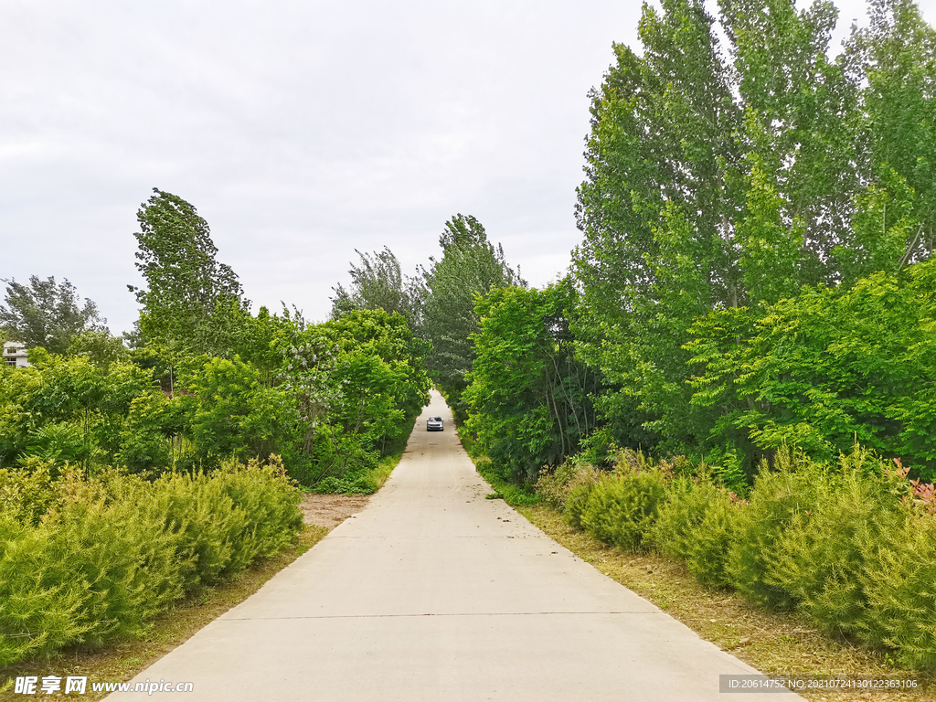 空荡荡的乡村道路风景