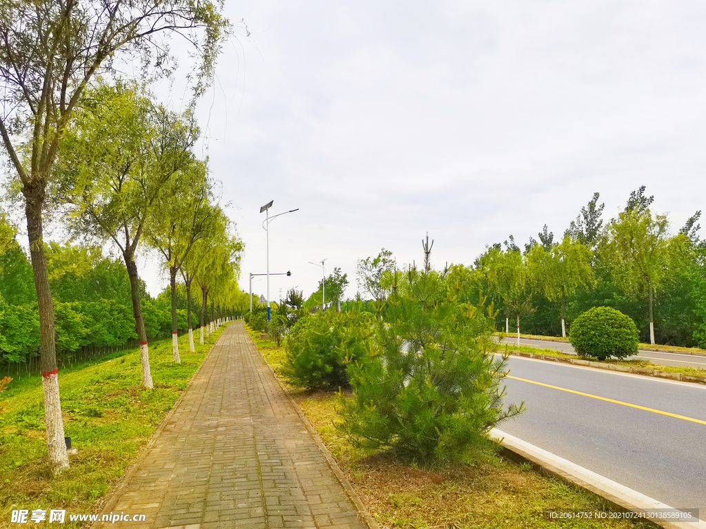 美丽的道路风景