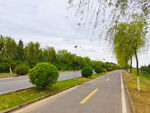 美丽的乡村道路风景