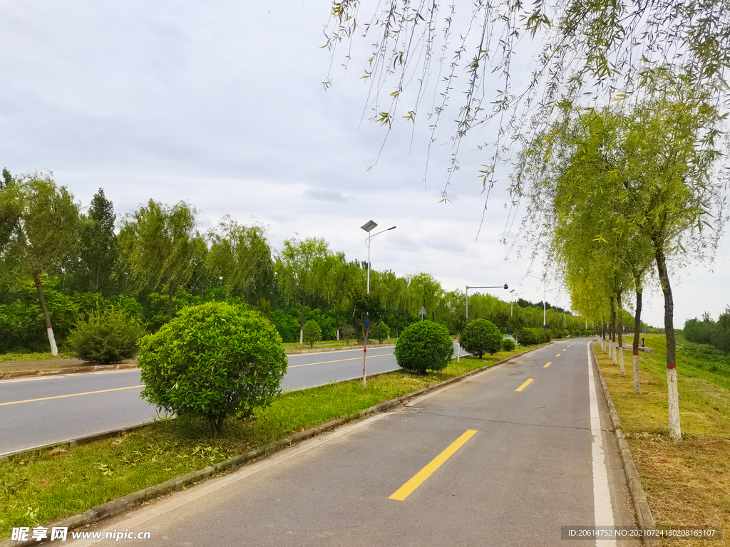 美丽的乡村道路风景