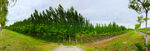 美丽的乡村风景