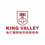 金汇国际钻石LOGO 