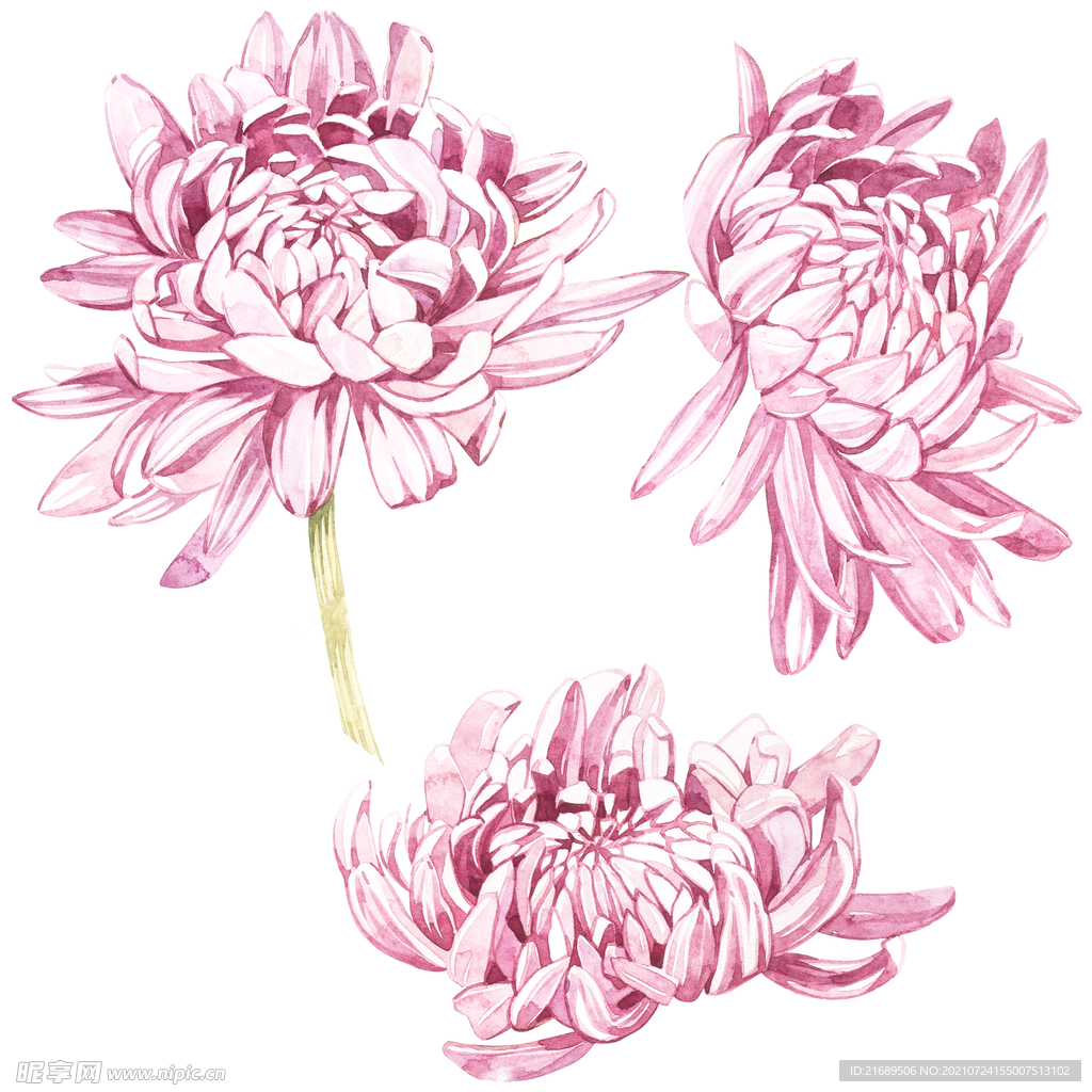 手绘花 水彩花 数码印花