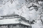 雪景