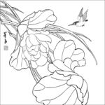 荷花翠鸟