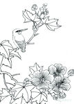 花鸟小品