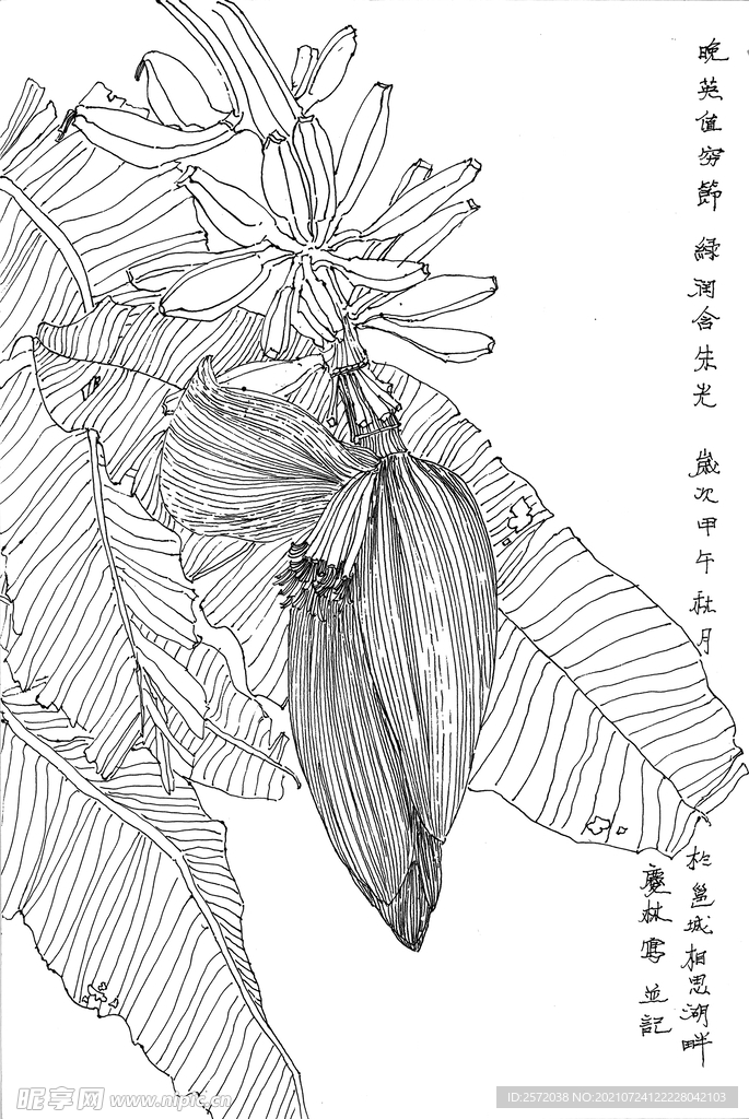 绿润合朱光
