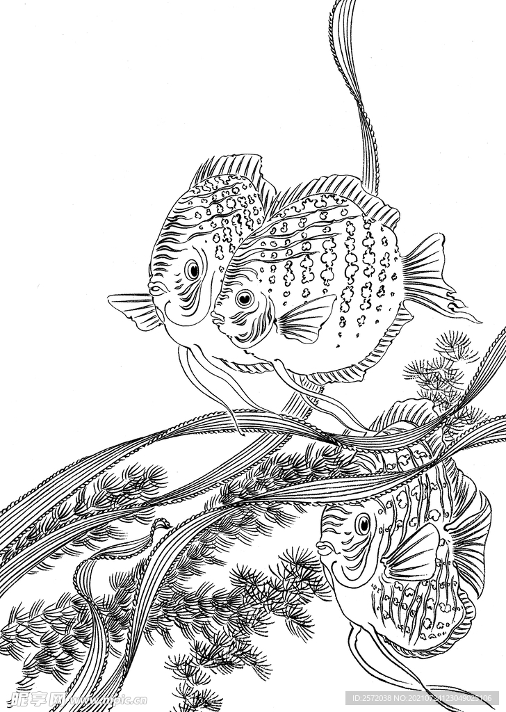 三鱼图.