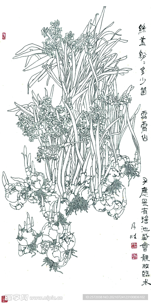诗意水仙