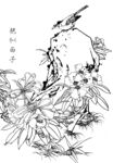 艳似西子