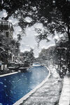 公园雪景