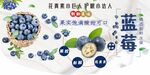 蓝莓图片