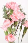 玫瑰花