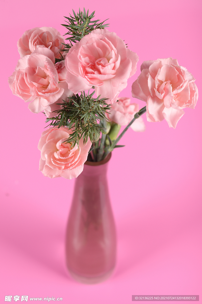 玫瑰花