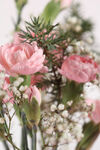 玫瑰花
