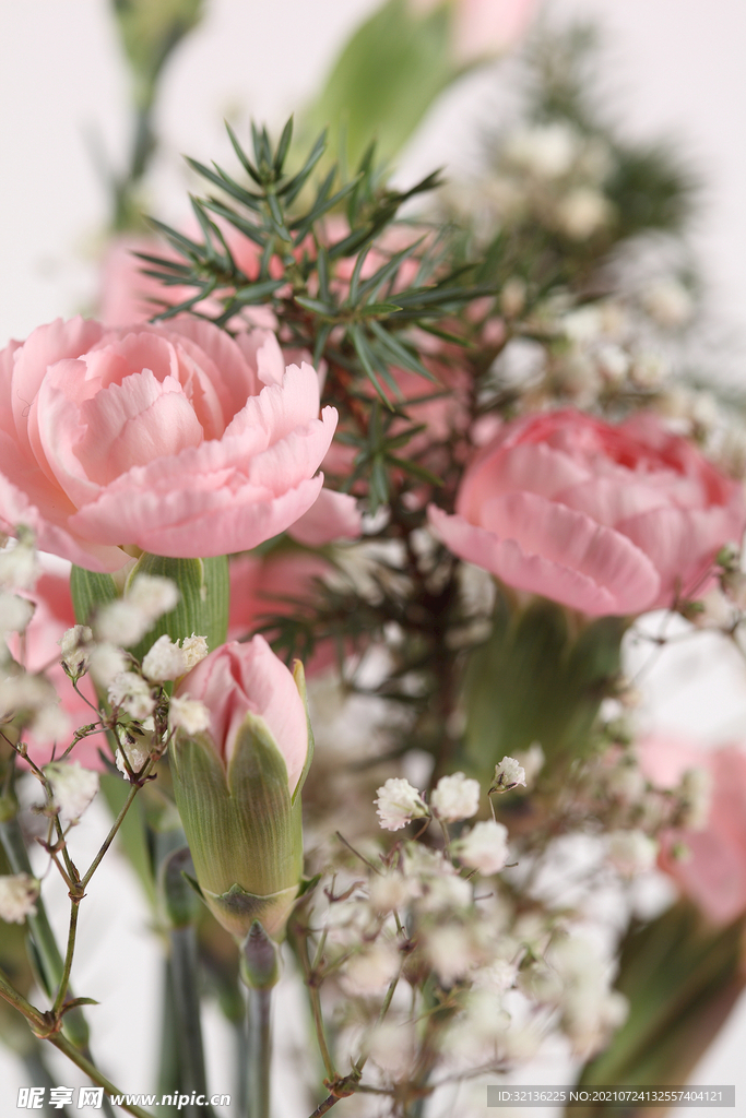 玫瑰花
