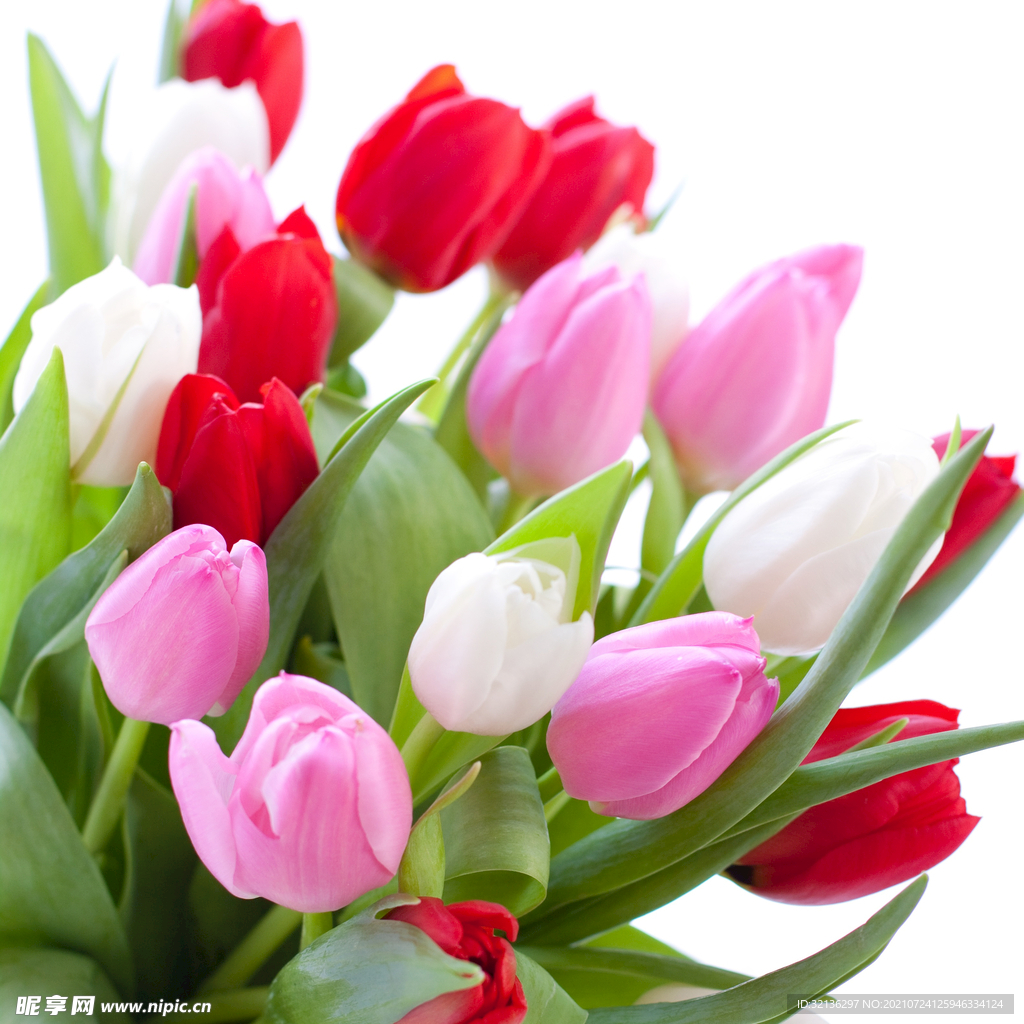 花卉