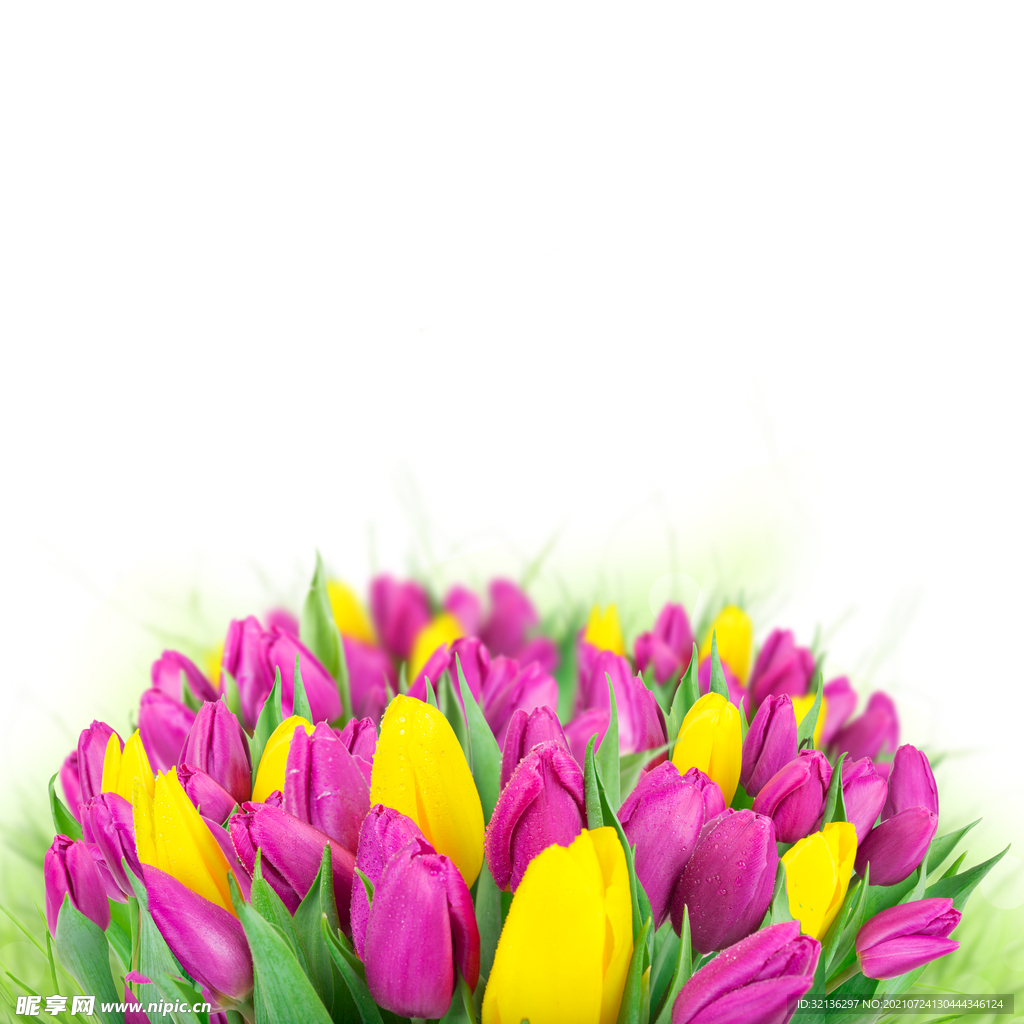 花卉