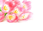 花卉