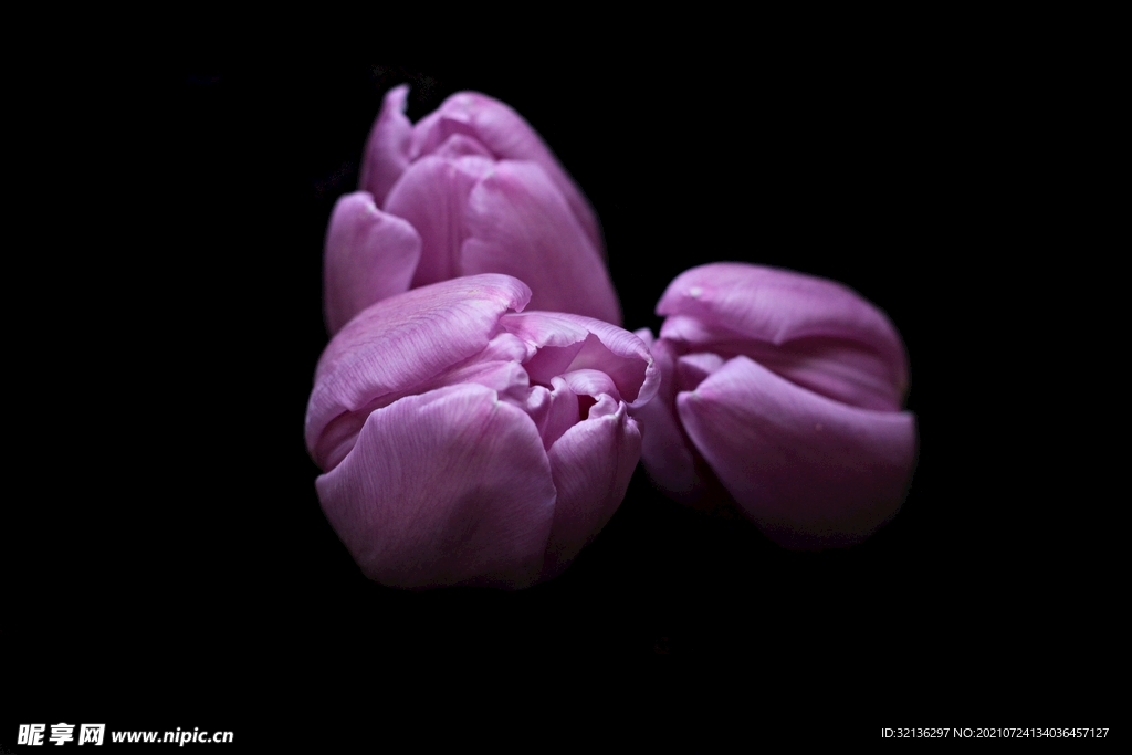花卉