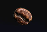 咖啡豆