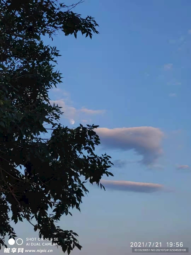 月上枝头