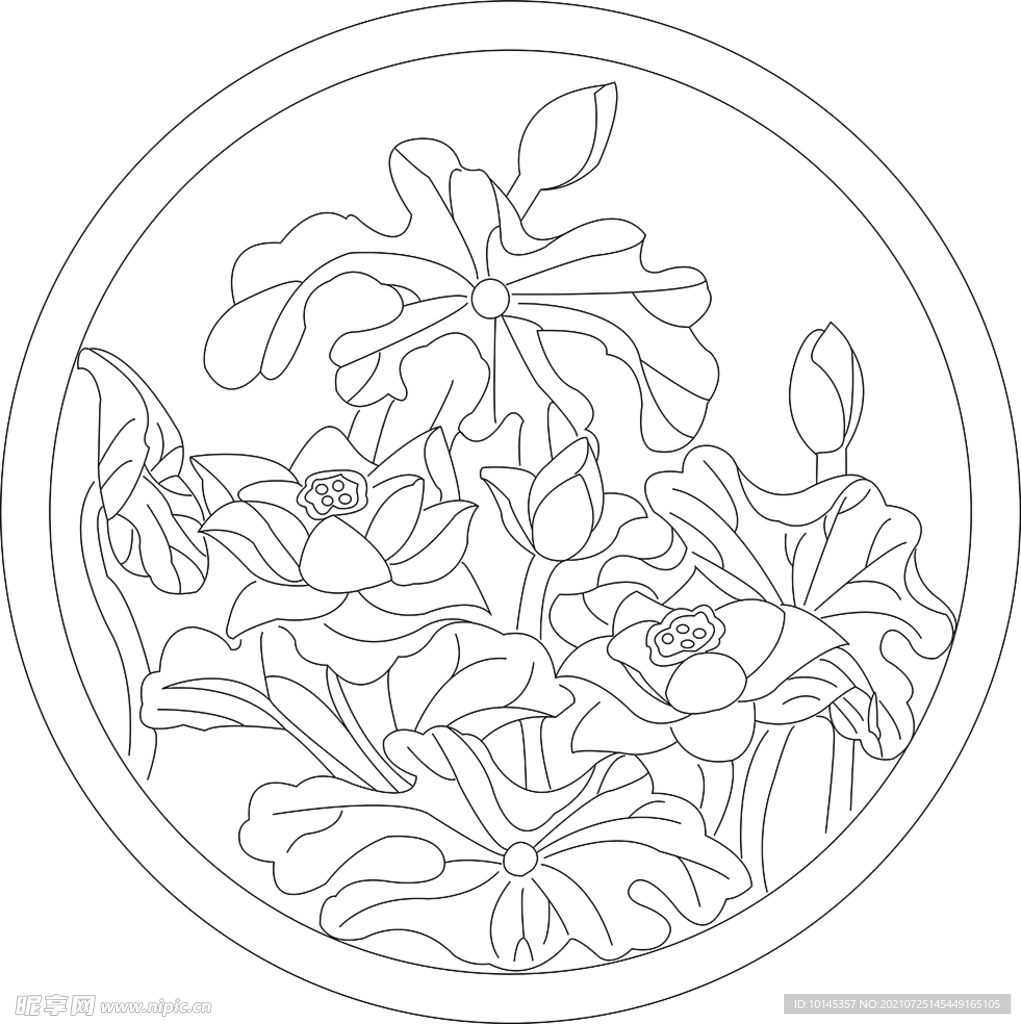 荷花